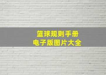 篮球规则手册电子版图片大全