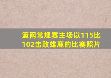 篮网常规赛主场以115比102击败雄鹿的比赛照片