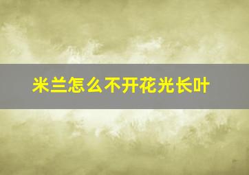 米兰怎么不开花光长叶