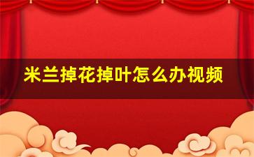 米兰掉花掉叶怎么办视频