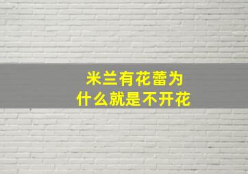 米兰有花蕾为什么就是不开花