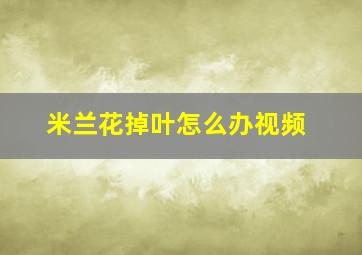 米兰花掉叶怎么办视频