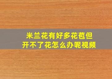 米兰花有好多花苞但开不了花怎么办呢视频