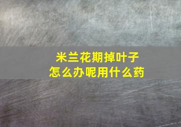 米兰花期掉叶子怎么办呢用什么药