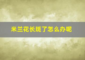 米兰花长斑了怎么办呢