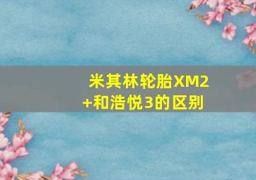 米其林轮胎XM2+和浩悦3的区别