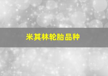 米其林轮胎品种