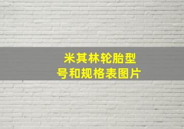 米其林轮胎型号和规格表图片