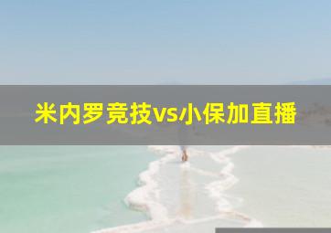 米内罗竞技vs小保加直播