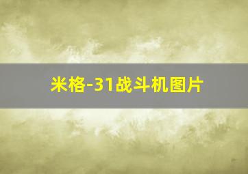 米格-31战斗机图片