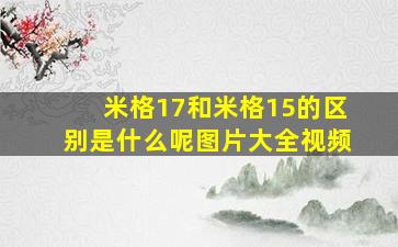 米格17和米格15的区别是什么呢图片大全视频