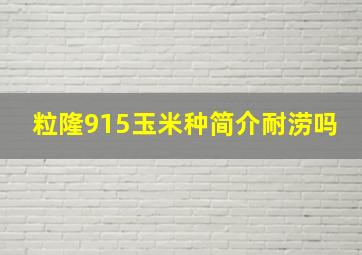 粒隆915玉米种简介耐涝吗