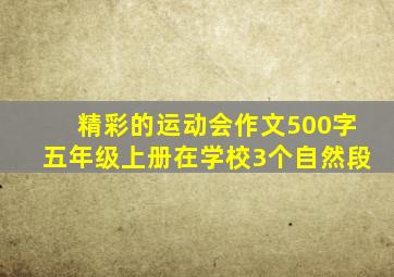 精彩的运动会作文500字五年级上册在学校3个自然段