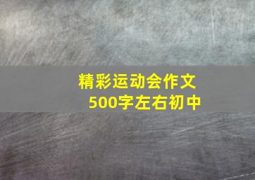 精彩运动会作文500字左右初中