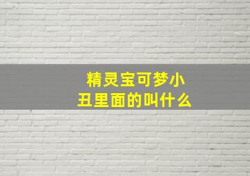 精灵宝可梦小丑里面的叫什么