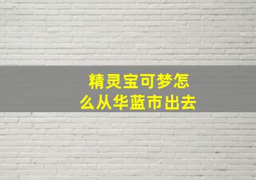 精灵宝可梦怎么从华蓝市出去