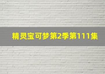 精灵宝可梦第2季第111集