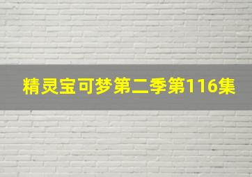 精灵宝可梦第二季第116集