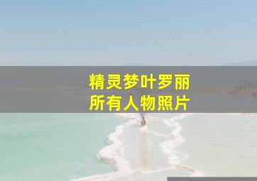 精灵梦叶罗丽所有人物照片