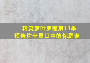 精灵梦叶罗丽第11季预告片辛灵口中的你是谁