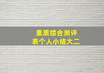 素质综合测评表个人小结大二