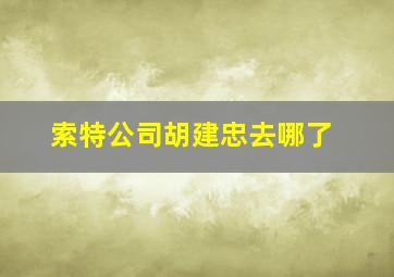 索特公司胡建忠去哪了