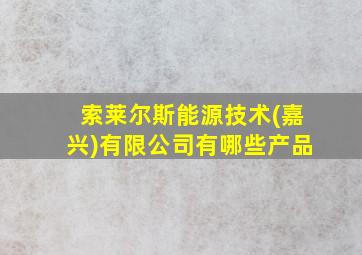 索莱尔斯能源技术(嘉兴)有限公司有哪些产品