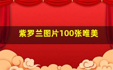 紫罗兰图片100张唯美