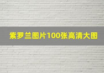 紫罗兰图片100张高清大图