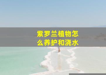 紫罗兰植物怎么养护和浇水