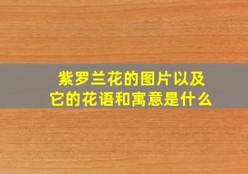 紫罗兰花的图片以及它的花语和寓意是什么