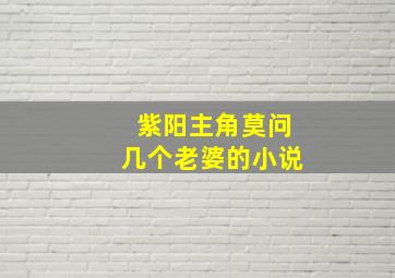 紫阳主角莫问几个老婆的小说