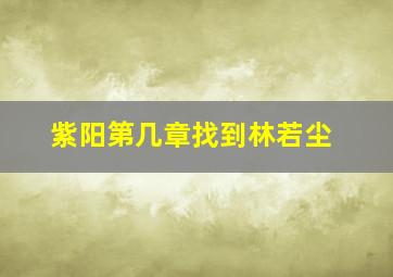 紫阳第几章找到林若尘