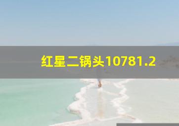 红星二锅头10781.2