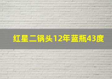 红星二锅头12年蓝瓶43度