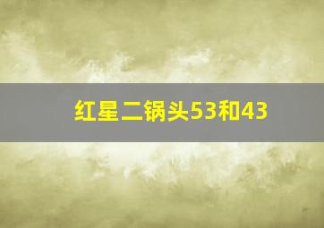 红星二锅头53和43