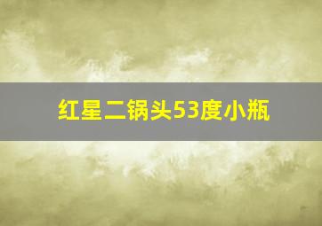 红星二锅头53度小瓶