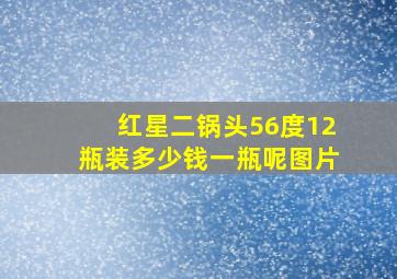 红星二锅头56度12瓶装多少钱一瓶呢图片