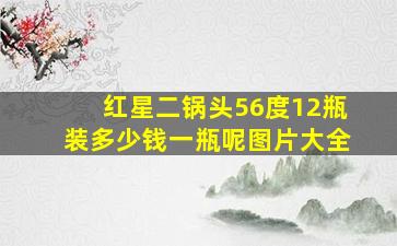 红星二锅头56度12瓶装多少钱一瓶呢图片大全