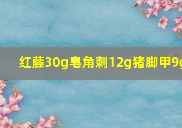 红藤30g皂角刺12g猪脚甲9g