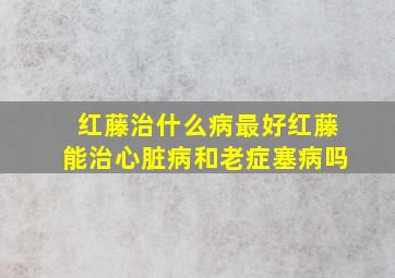 红藤治什么病最好红藤能治心脏病和老症塞病吗