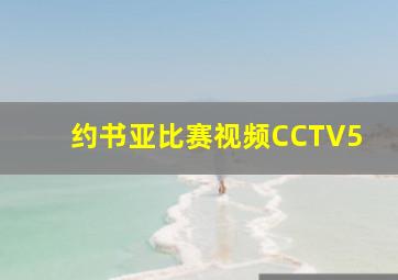 约书亚比赛视频CCTV5