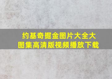 约基奇掘金图片大全大图集高清版视频播放下载