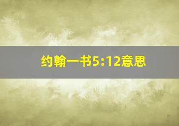 约翰一书5:12意思