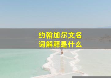 约翰加尔文名词解释是什么