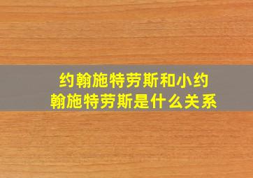 约翰施特劳斯和小约翰施特劳斯是什么关系