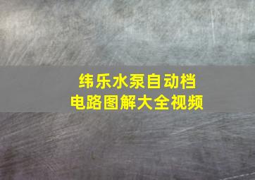 纬乐水泵自动档电路图解大全视频