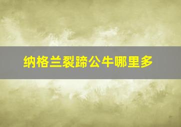 纳格兰裂蹄公牛哪里多