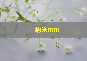 纳米mm