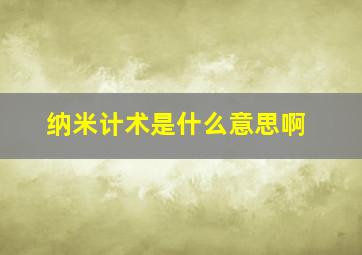 纳米计术是什么意思啊